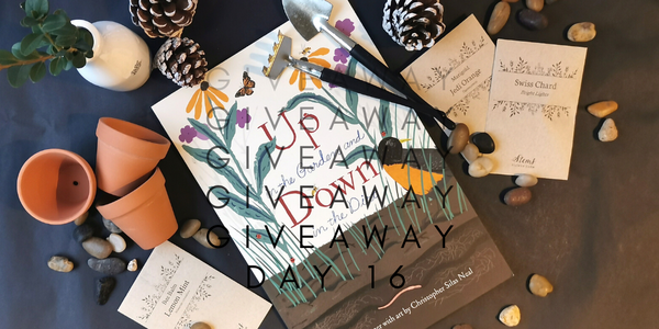 24 Days of Giveaways - Day 16 Kate Messner