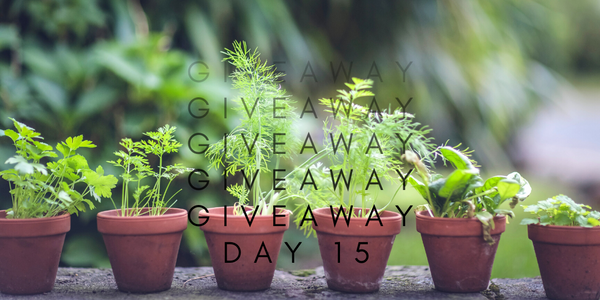 24 Days of Giveaways - Day 15 The Art of Balcony Growing