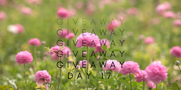 24 Days of Giveaways - Day 17 Stems Gift Card