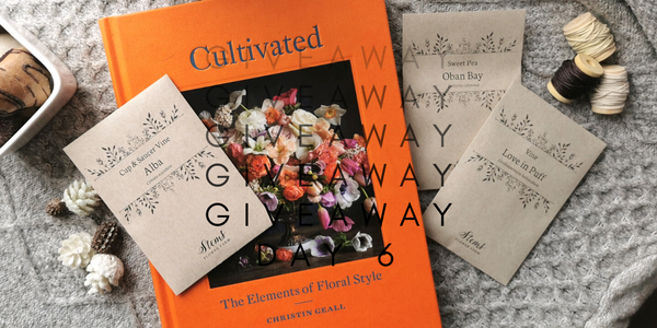 24 Days of Giveaways - Day 6 Christin Geall