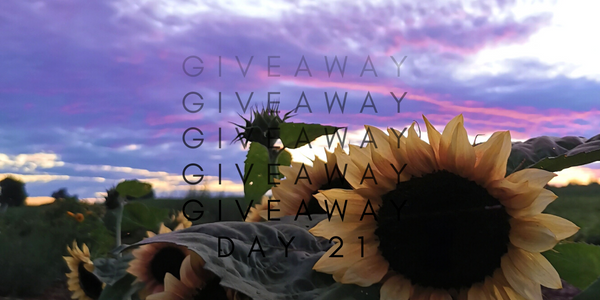 24 Days of Giveaways - Day 21 Escape Package for 2