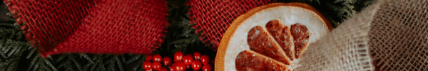 24 Days of Giveaways - Day 2 Vegetable Garden Package