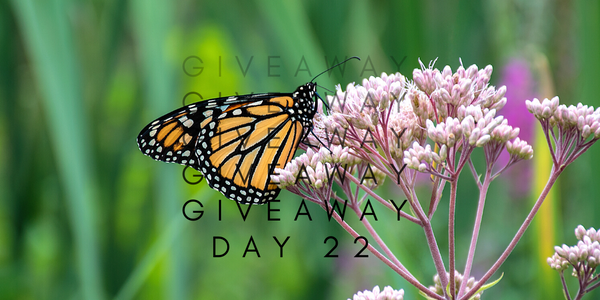 24 Days of Giveaways - Day 22 Stems Gift Card
