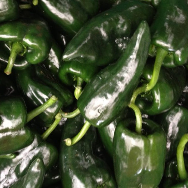 Pepper (Hot) - Poblano