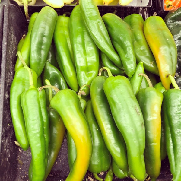 Pepper (Hot) - Anaheim Chili