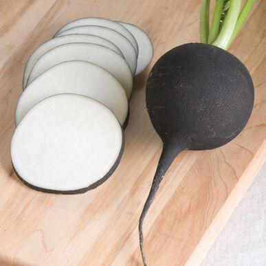Radish - Nero Tondo