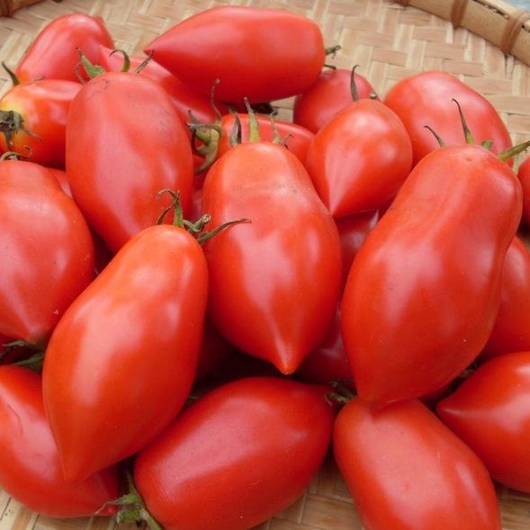 Tomato - Paste Mix