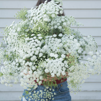 White Lace Bouquet