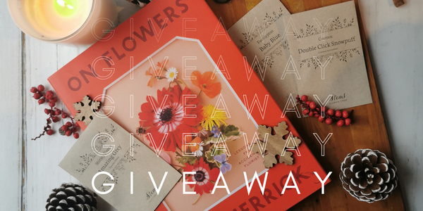 24 Days of Giveaways - Day 1 Amy Merrick