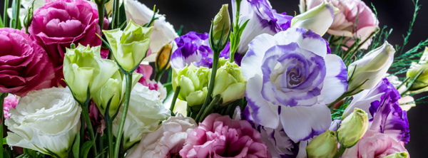 Lisianthus : How Group Numbers Enhance Your Garden