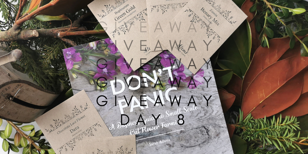 24 Days of Giveaways - Day 8 Sarah Adams