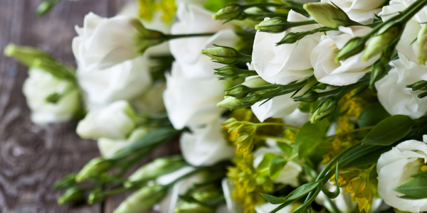 Silver to White Blooms