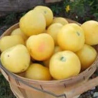 Tomato (Slicer) - Garden Peach