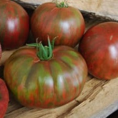 Tomato (Beefsteak) - Pink Berkeley Tie Dye