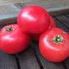 Tomate (trancheuse) - Rose de Berne