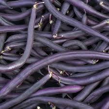 Beans (Bush) -  Royal Burgundy