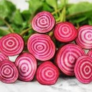 Beets - Chioggia