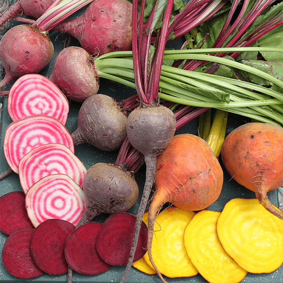 Beets - Coloured Mix