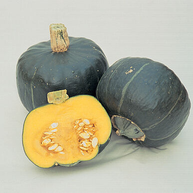 Squash (Winter) - Burgess Strain Buttercup