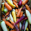 Carrots - Rainbow Mix