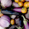Eggplant - Mix