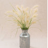 Decorative Grass - Feathertop