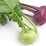 Kohlrabi - Mix