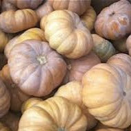 Pumpkin (Specialty) - Long Island Cheese