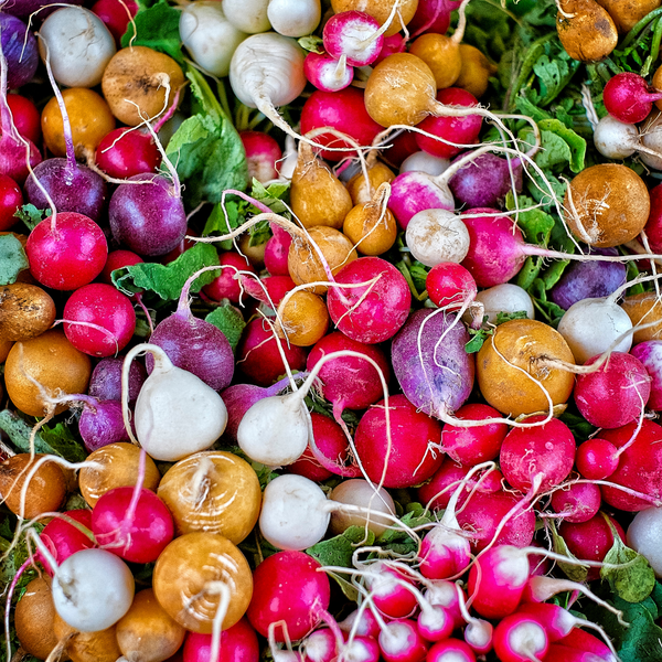 Radish - Mix