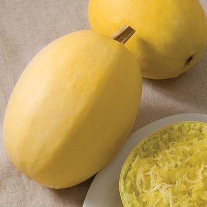 Squash (Winter) - Vegetable Spaghetti