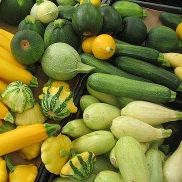 Squash - Summer Mix ( Zucchini )