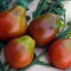 Tomate (trancheuse) - Trifele noir japonais