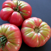 Tomato (Beefsteak) - Ponderosa Pink